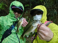 ブラックバスの釣果