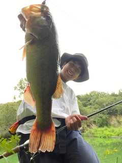 ブラックバスの釣果