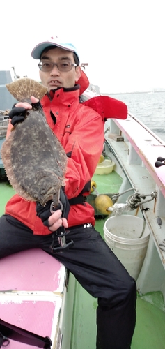 ヒラメの釣果