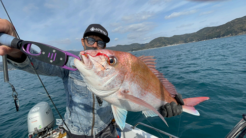 タイの釣果