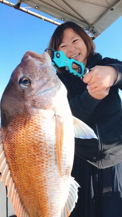 タイの釣果