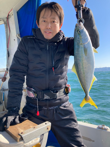 ハマチの釣果