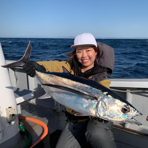 ビンチョウマグロの釣果