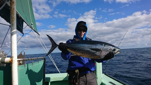 クロマグロの釣果