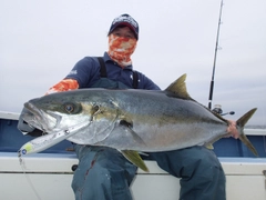 ヒラマサの釣果