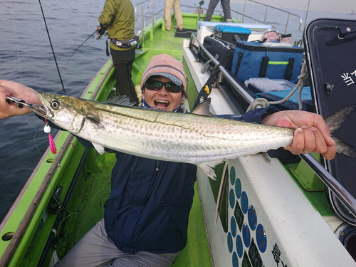 サワラの釣果