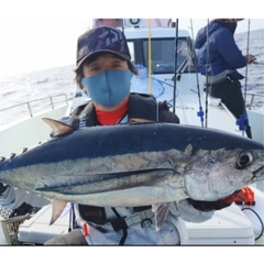 ビンチョウマグロの釣果