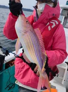 イトヨリダイの釣果