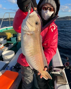 シロアマダイの釣果