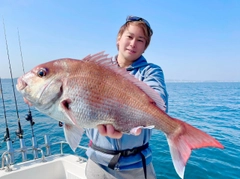 マダイの釣果