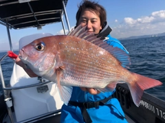 マダイの釣果