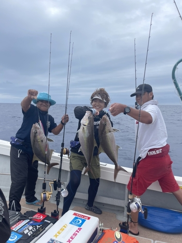 カンパチの釣果