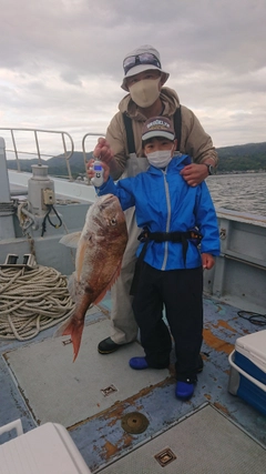 マダイの釣果