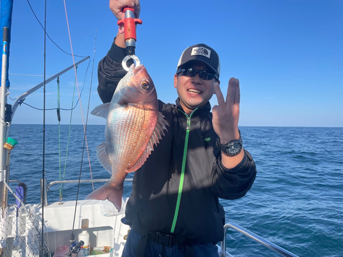 マダイの釣果