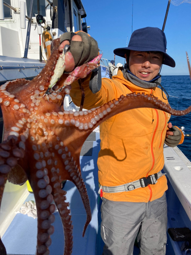 マダコの釣果