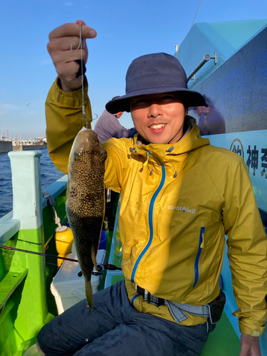 ショウサイフグの釣果