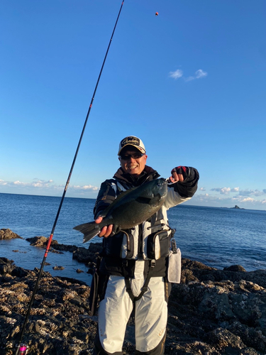 クチブトグレの釣果