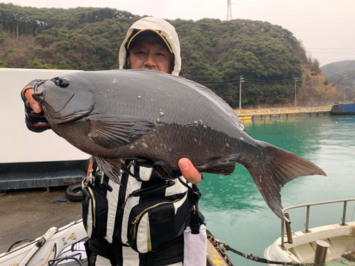 クチブトグレの釣果