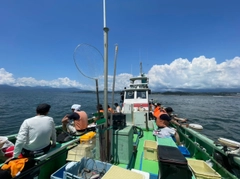 イナダの釣果