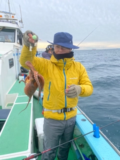 マダコの釣果
