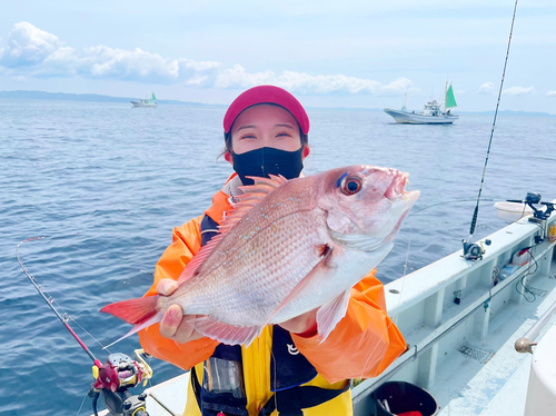 マダイの釣果