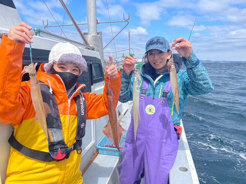 ヤリイカの釣果