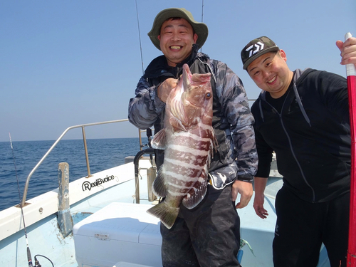 マハタの釣果