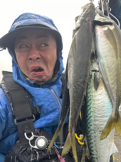 サバの釣果