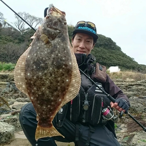 ヒラメの釣果