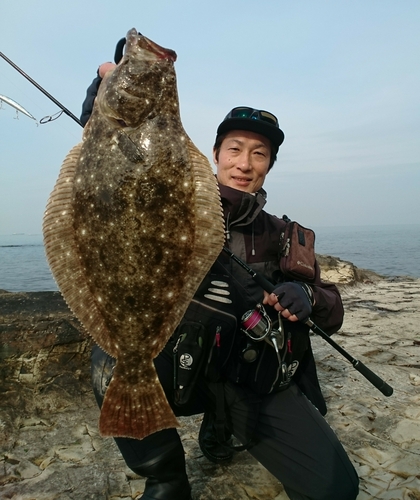 ヒラメの釣果