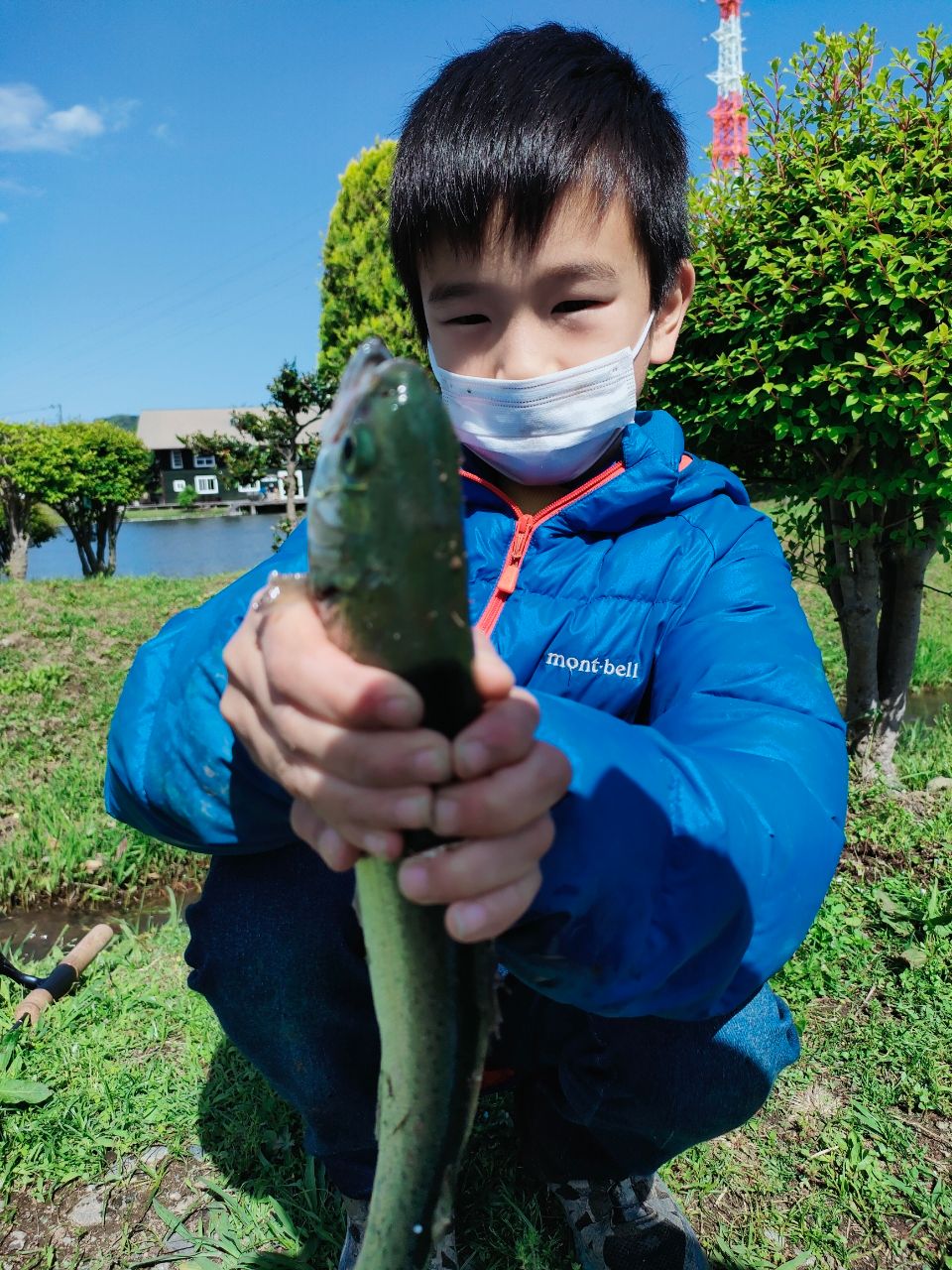 ニジマス