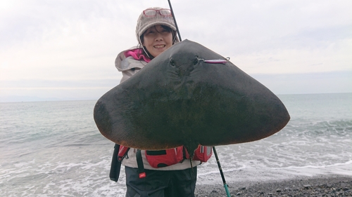 ツバクロエイの釣果