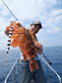 ウッカリカサゴの釣果