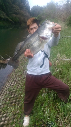 ブラックバスの釣果