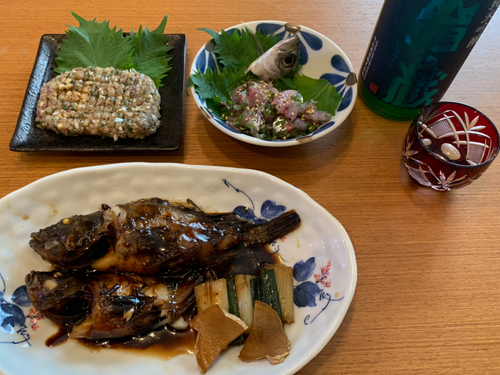 アジの釣果