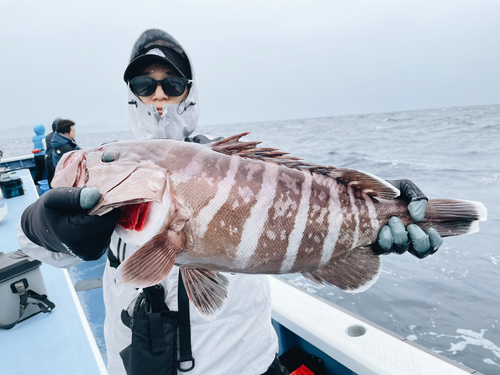 マハタの釣果