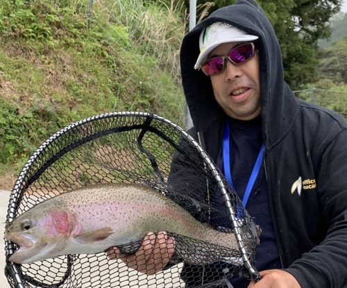 ニジマスの釣果