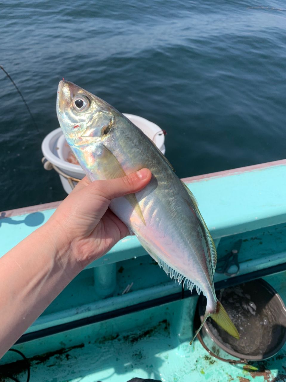 ありちゃんWhaletailさんの釣果 2枚目の画像