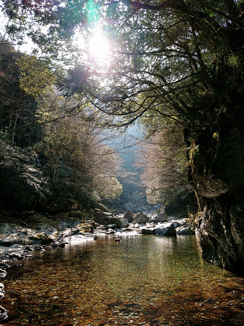 イワナ