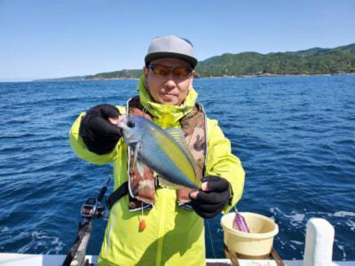 ウメイロの釣果