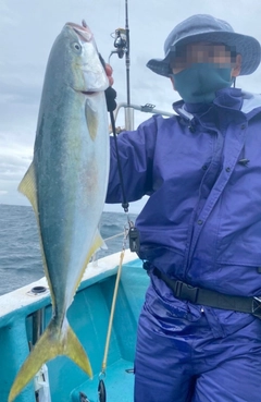 イナダの釣果