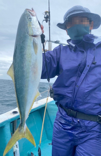 イナダの釣果