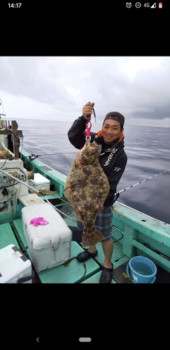 ヒラメの釣果