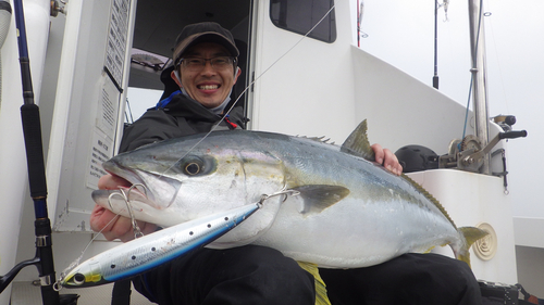 ヒラマサの釣果