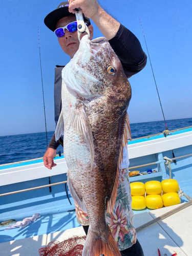 タイの釣果