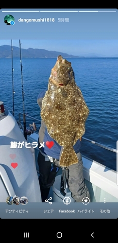 ヒラメの釣果