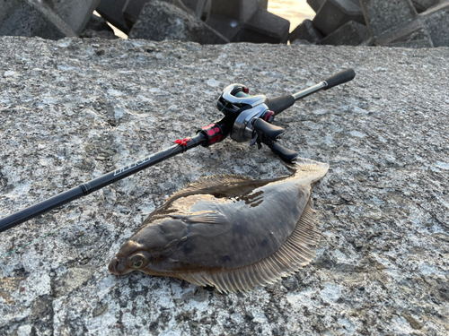 スナガレイの釣果