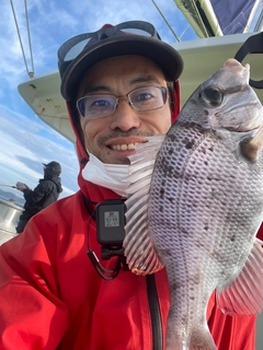 メイチダイの釣果