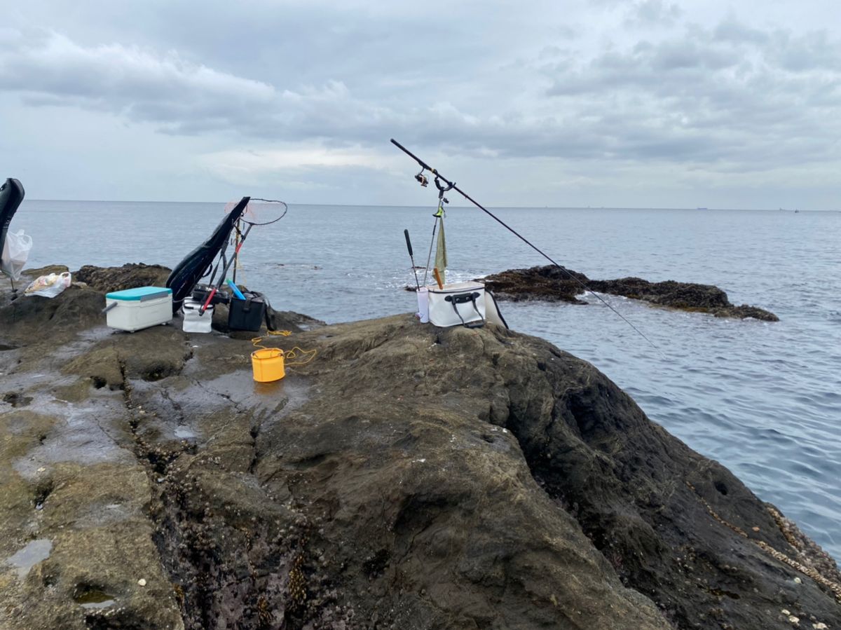 KJど遠投カゴ釣りさんの釣果 2枚目の画像