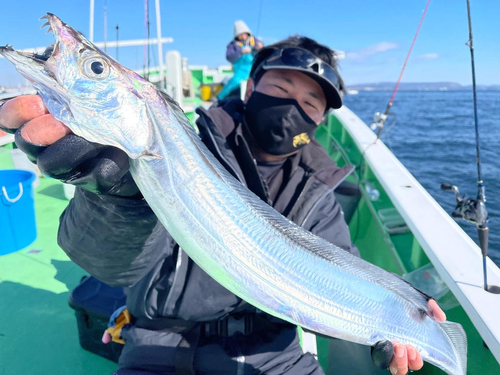 タチウオの釣果